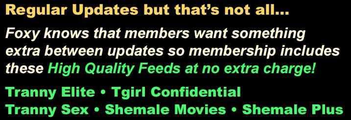 Foxy knows that members want something extra between updates so membership includes these High Quality Feeds at no extra charge! 